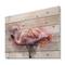 Designart - Portrait of Pink Flamingo V - Farmhouse Print on Natural Pine Wood